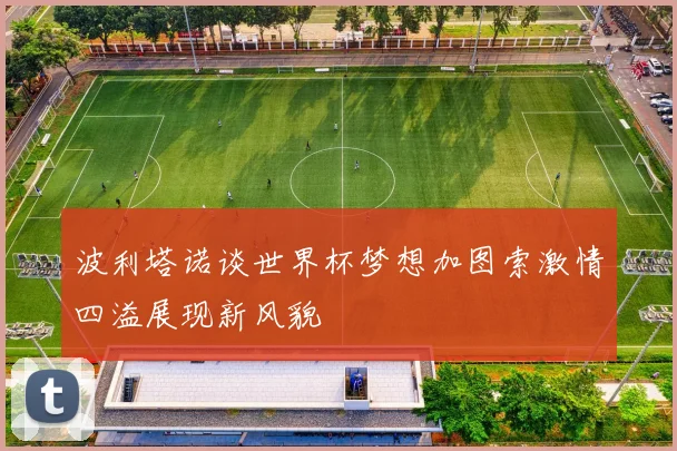 波利塔诺谈世界杯梦想加图索激情四溢展现新风貌