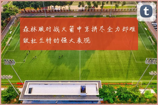 森林狼对战火箭申京拼尽全力却难敌杜兰特的强大表现